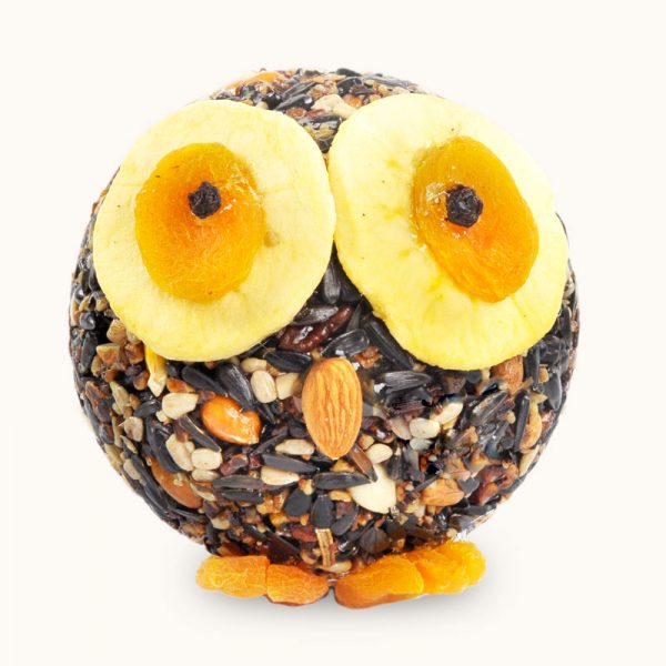 Hoot Owl