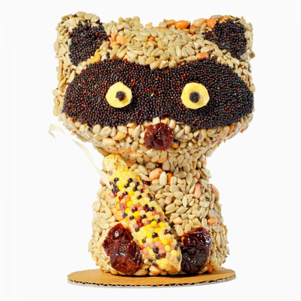 Rascal Raccoon