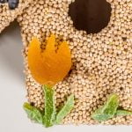 MR. BIRD SPRING FRUIT CASITA
