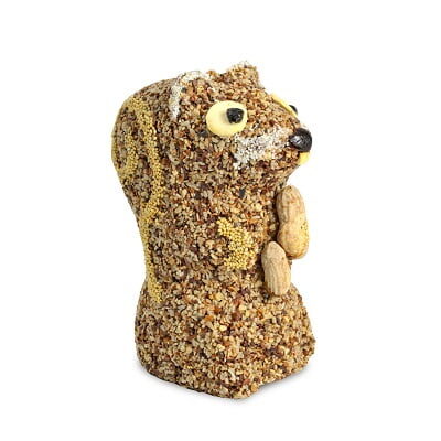 Peanut Squirrel
