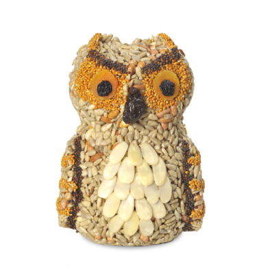Olive Owl