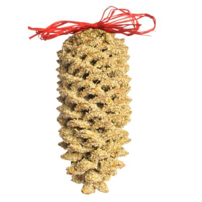 Giant Pine Cone &#8211; Available 9/1/22