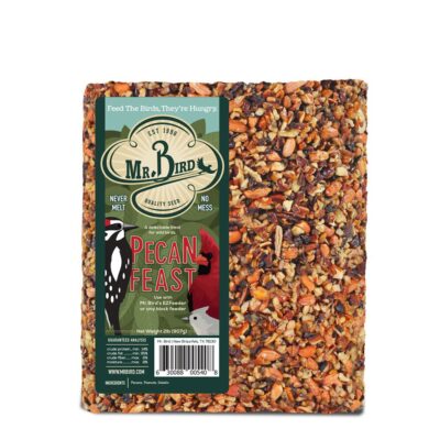Pecan Feast Cake Large