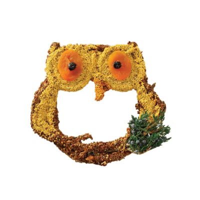 Owl Treats