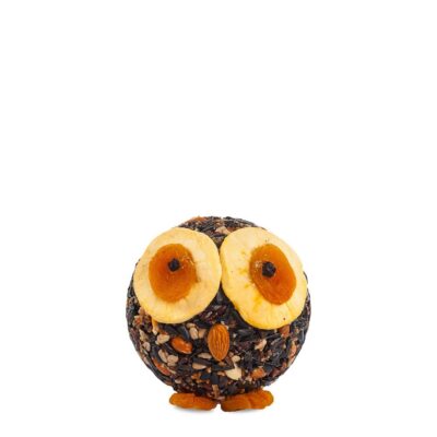 Hoot Owl
