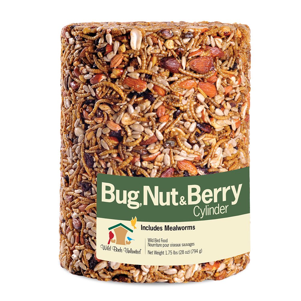 Bugs, Nuts, & Berry Cylinder – Large