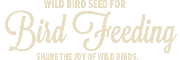 Bird Feeding